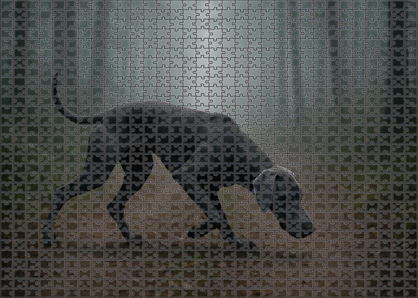 Smoky Whisper 100 Piece Puzzle