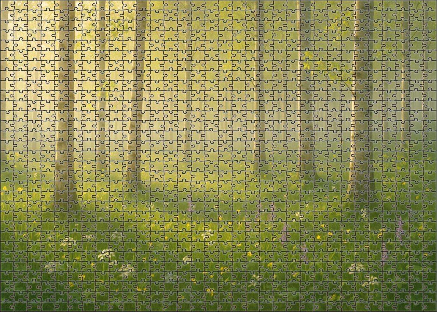 Early Spring Birch Hollow Easy Puzzles