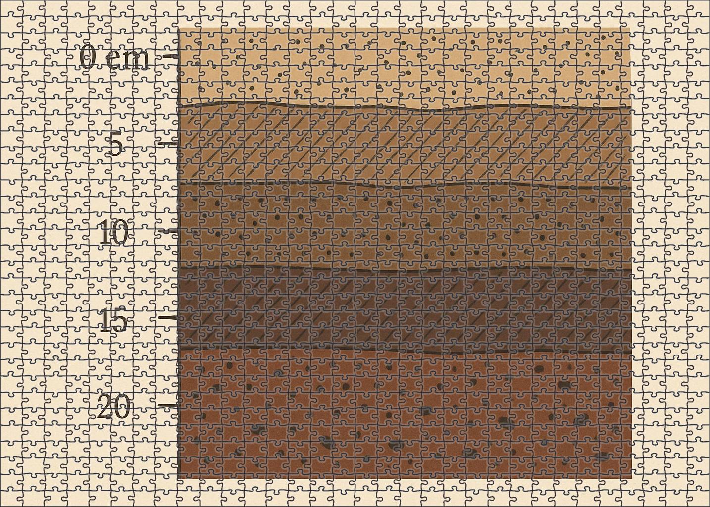 Subsurface Lithology Strip Mini Puzzle