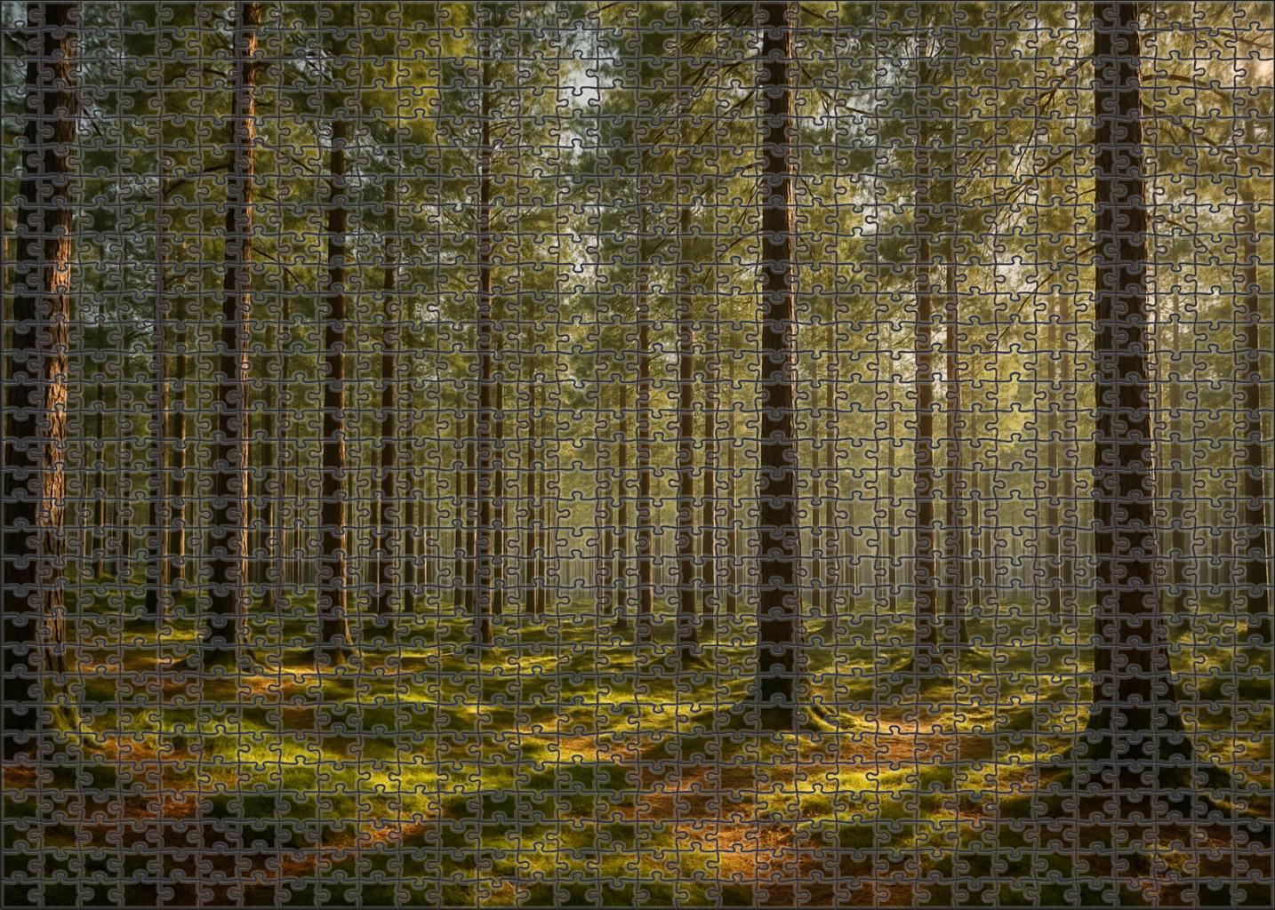 Whispering Pine Hollows Unique Puzzle Design