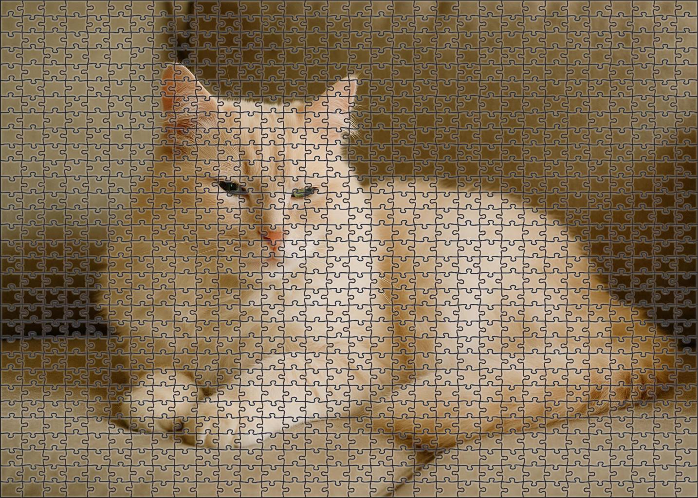 Ivory Cloud 200 Piece Puzzle