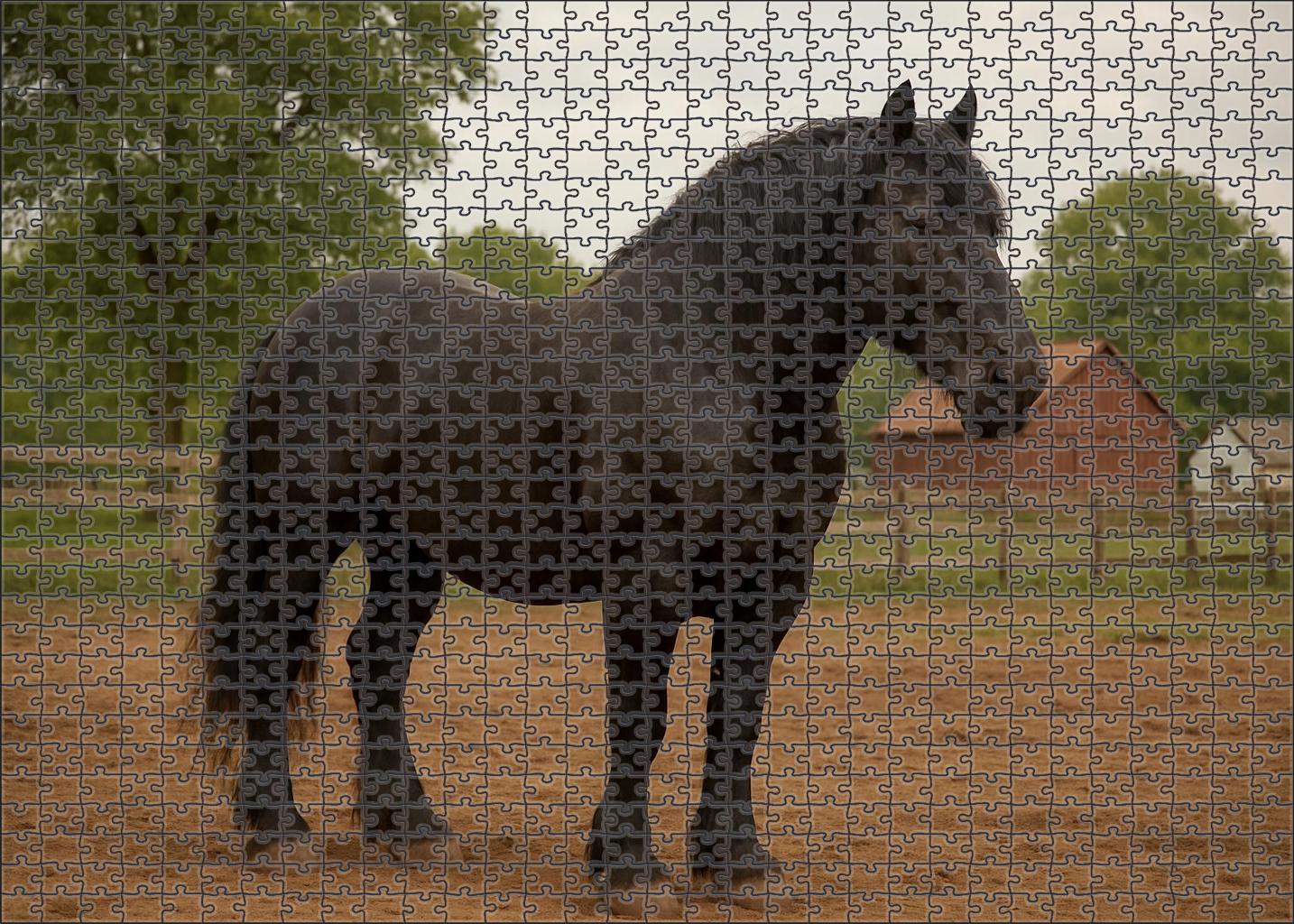 Thunderstrike Muscular Black Draft Cross With Grounded Power Puzzle For Adults