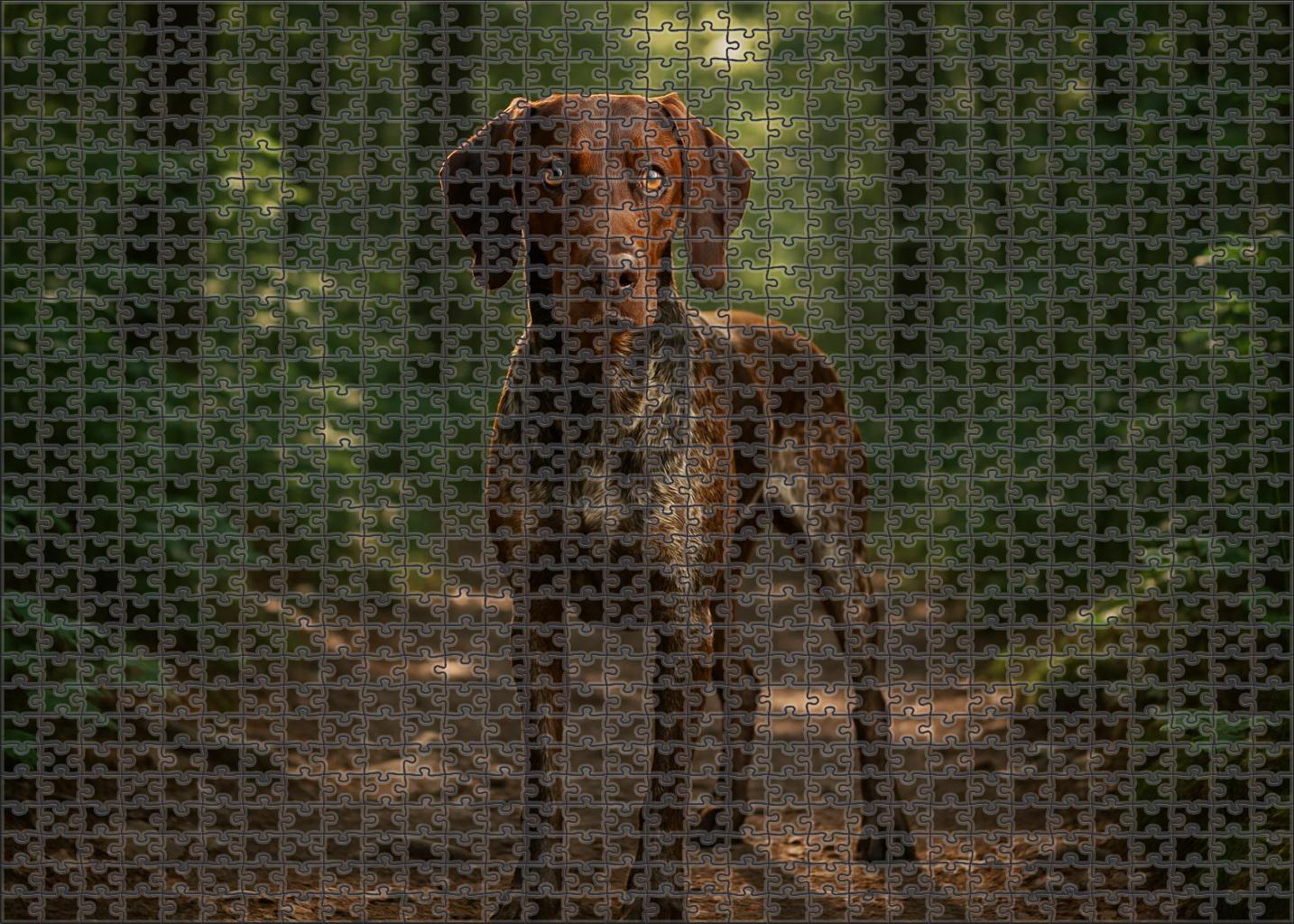 Copper Veil Puzzle Collection