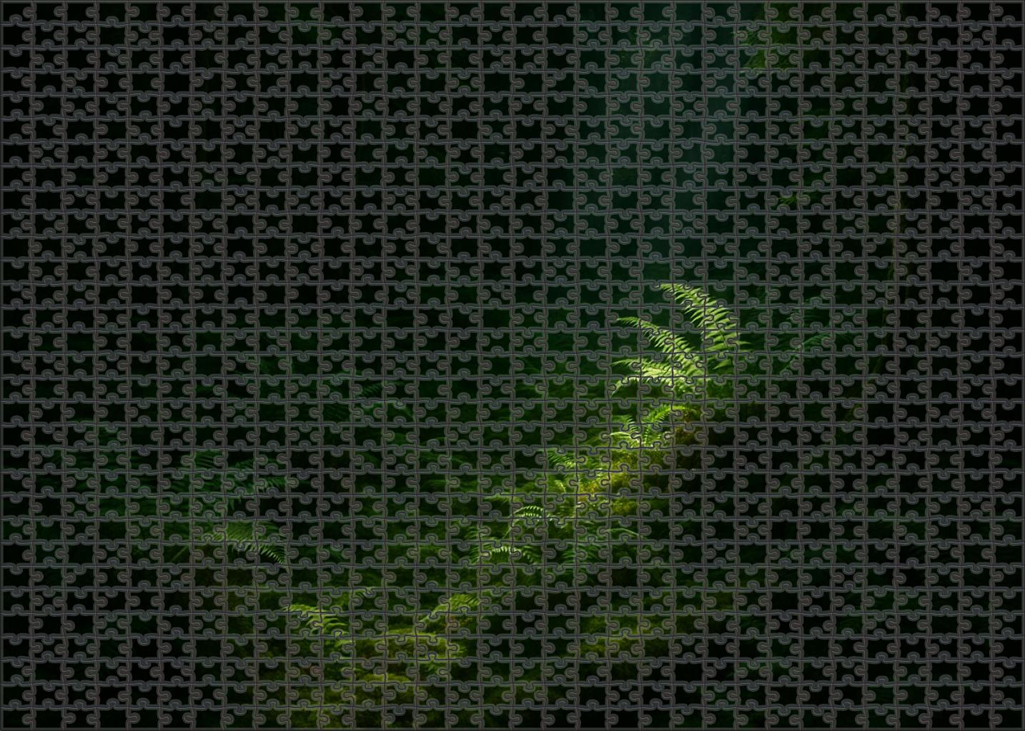 Verdant Shadow Hollows 1000 Piece Puzzle