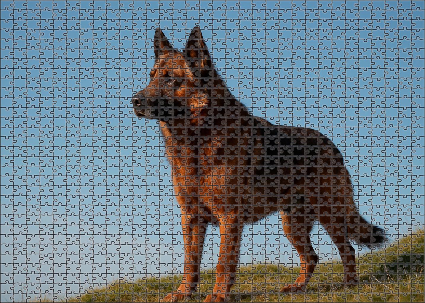 Chestnut Ridge 20 Piece Puzzle