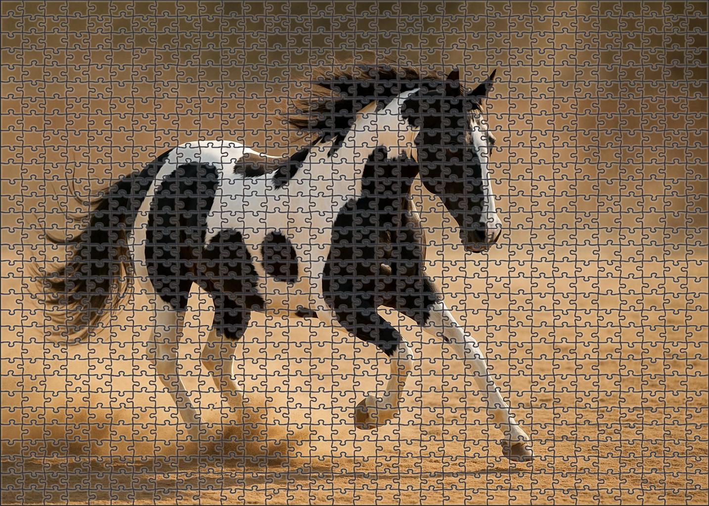 Shadow Glen Pinto Eye-catching Black And White Mare With Dynamic Flair Custom Jigsaw Puzzle
