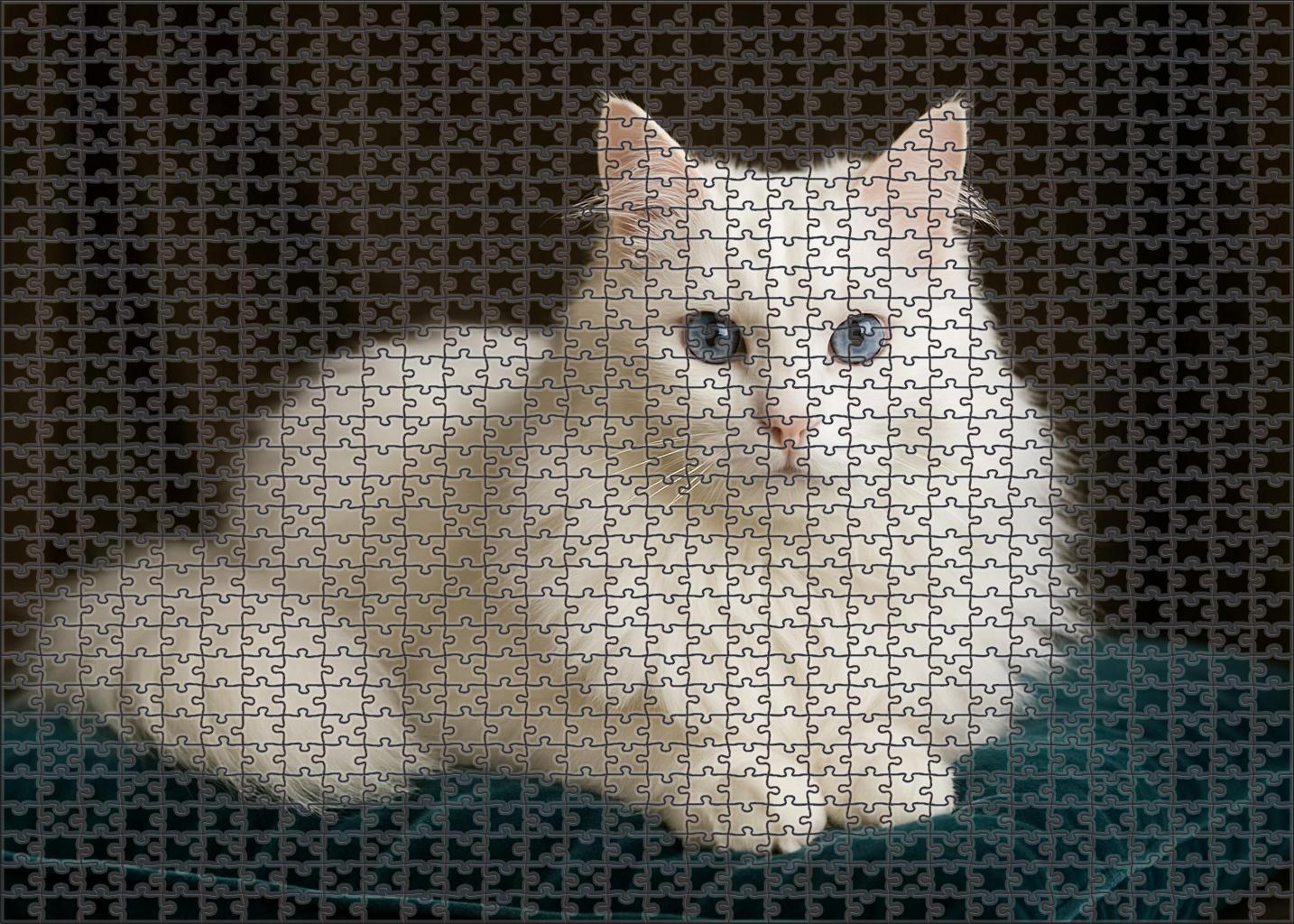 Ivory Silk 200 Piece Puzzle