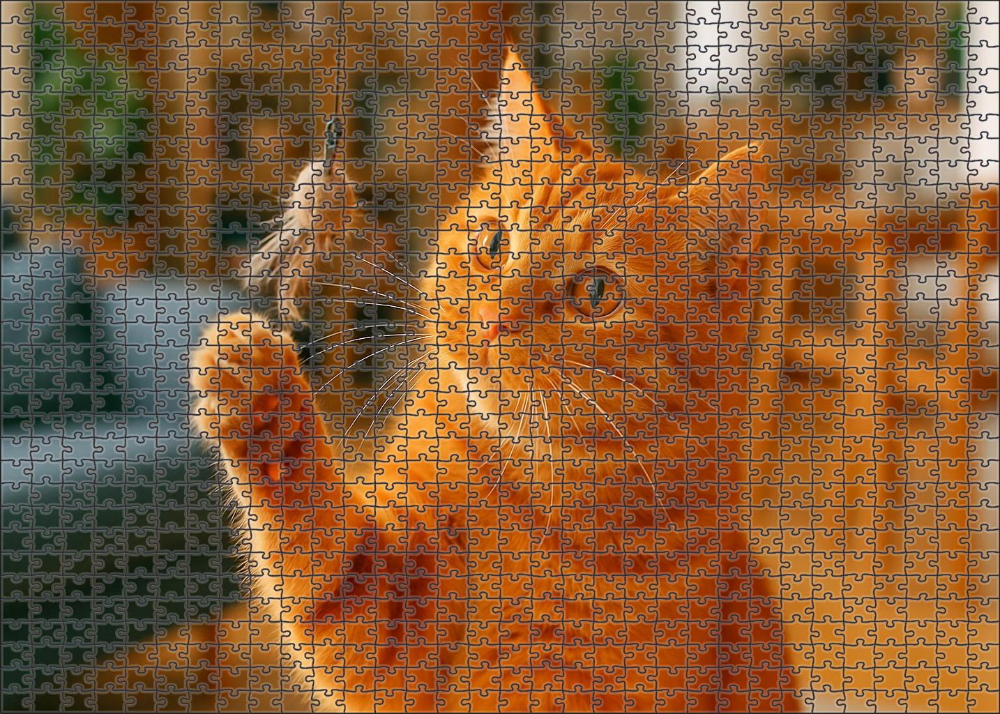 Amber Glow Warm Ginger Fur With Spirited Energy Unique Puzzle Design