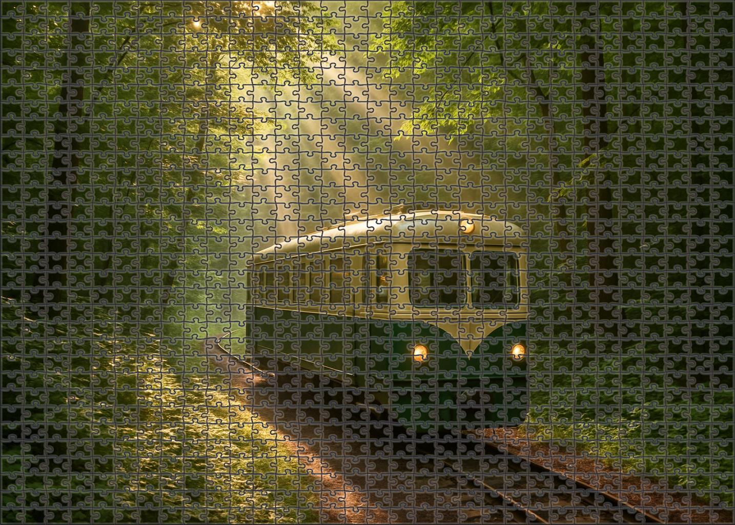 Emerald Forest Railcar Puzzle Fun