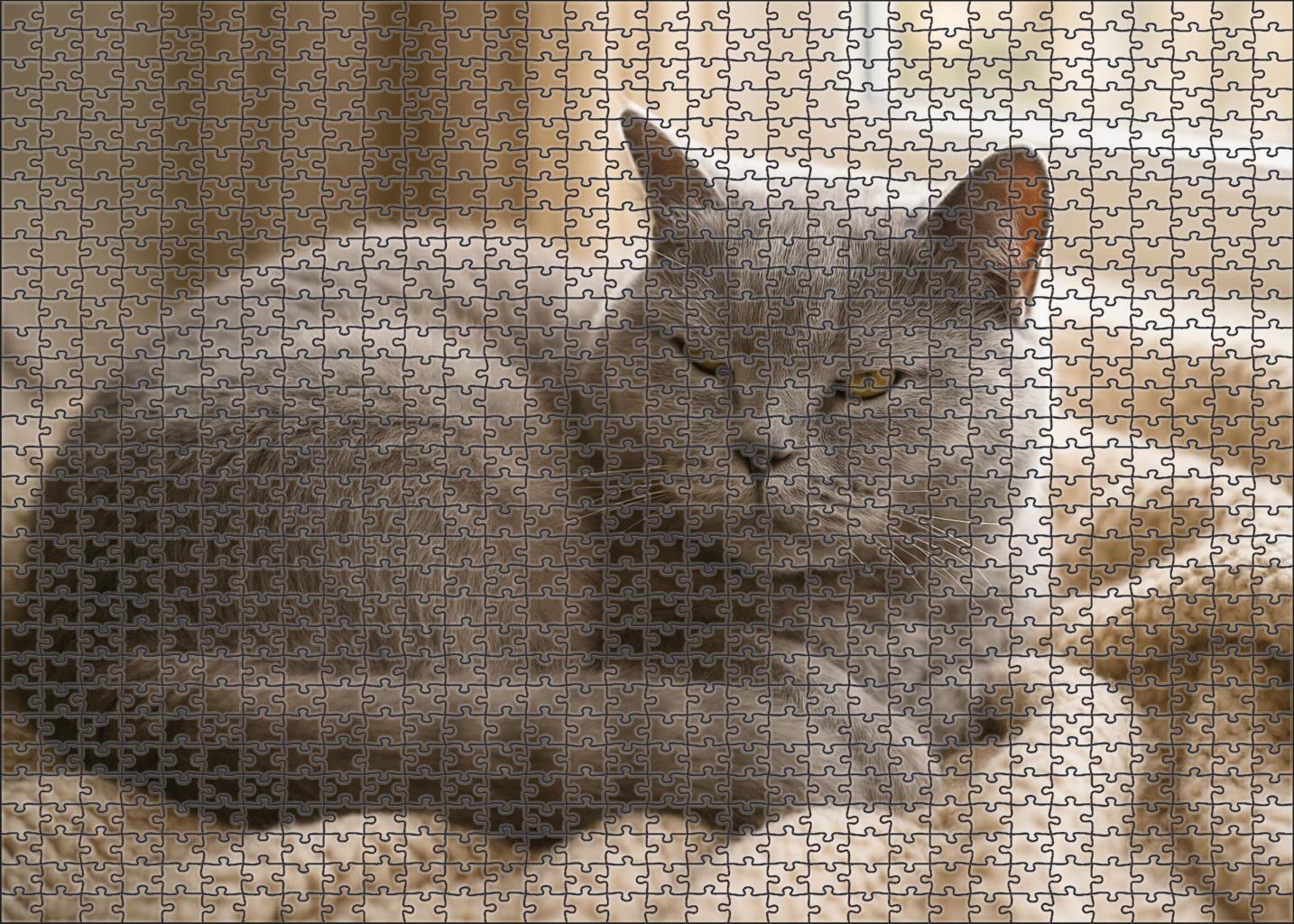 Velvet Dawn Plush Grey Medium Hair With Affectionate Heart Puzzle Challenge