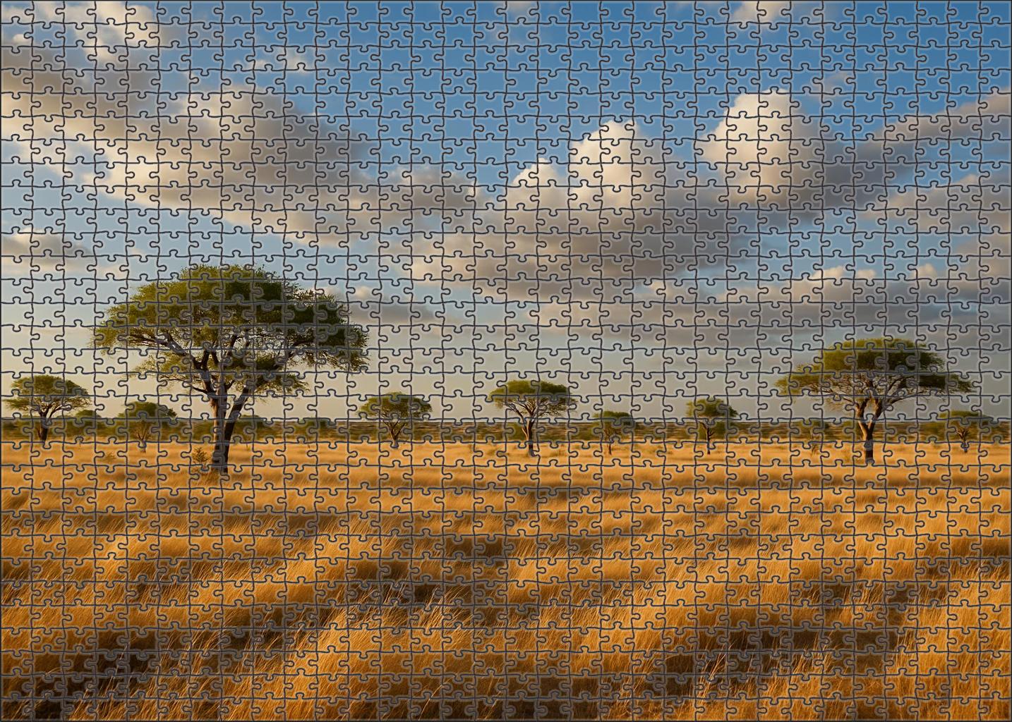 Golden Hour Savannah Vista 100 Piece Puzzle