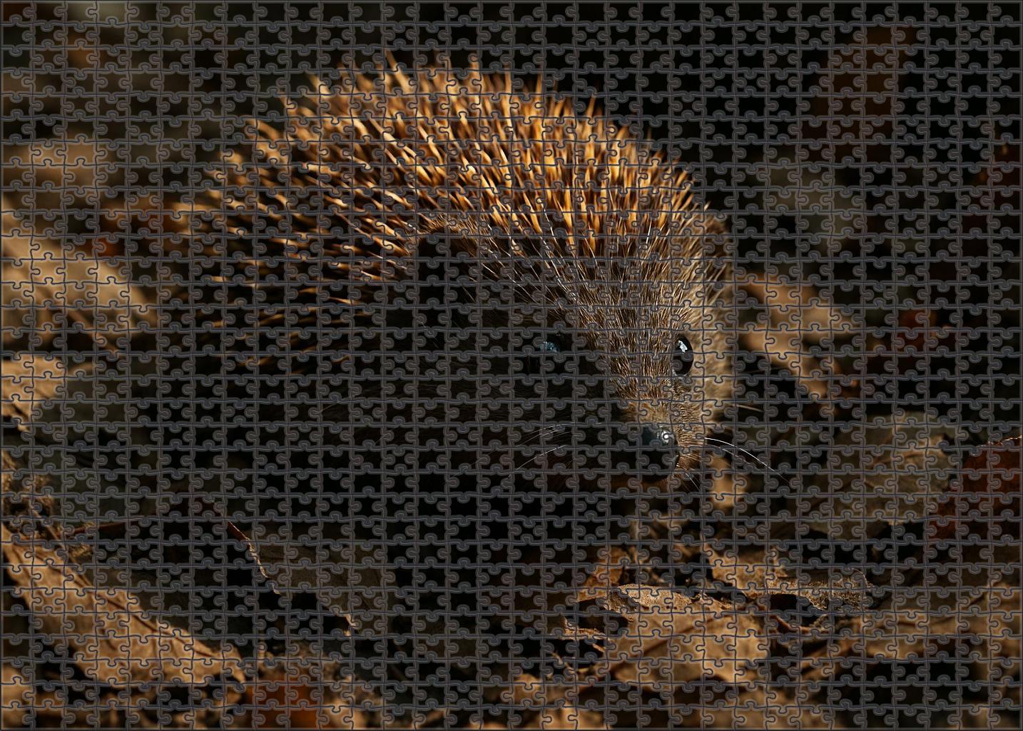 Amber Thorn Beast Compact Forest Dweller with Protective Spiny Hide and Keen Olfactory Senses Wooden Jigsaw Puzzle puzzle