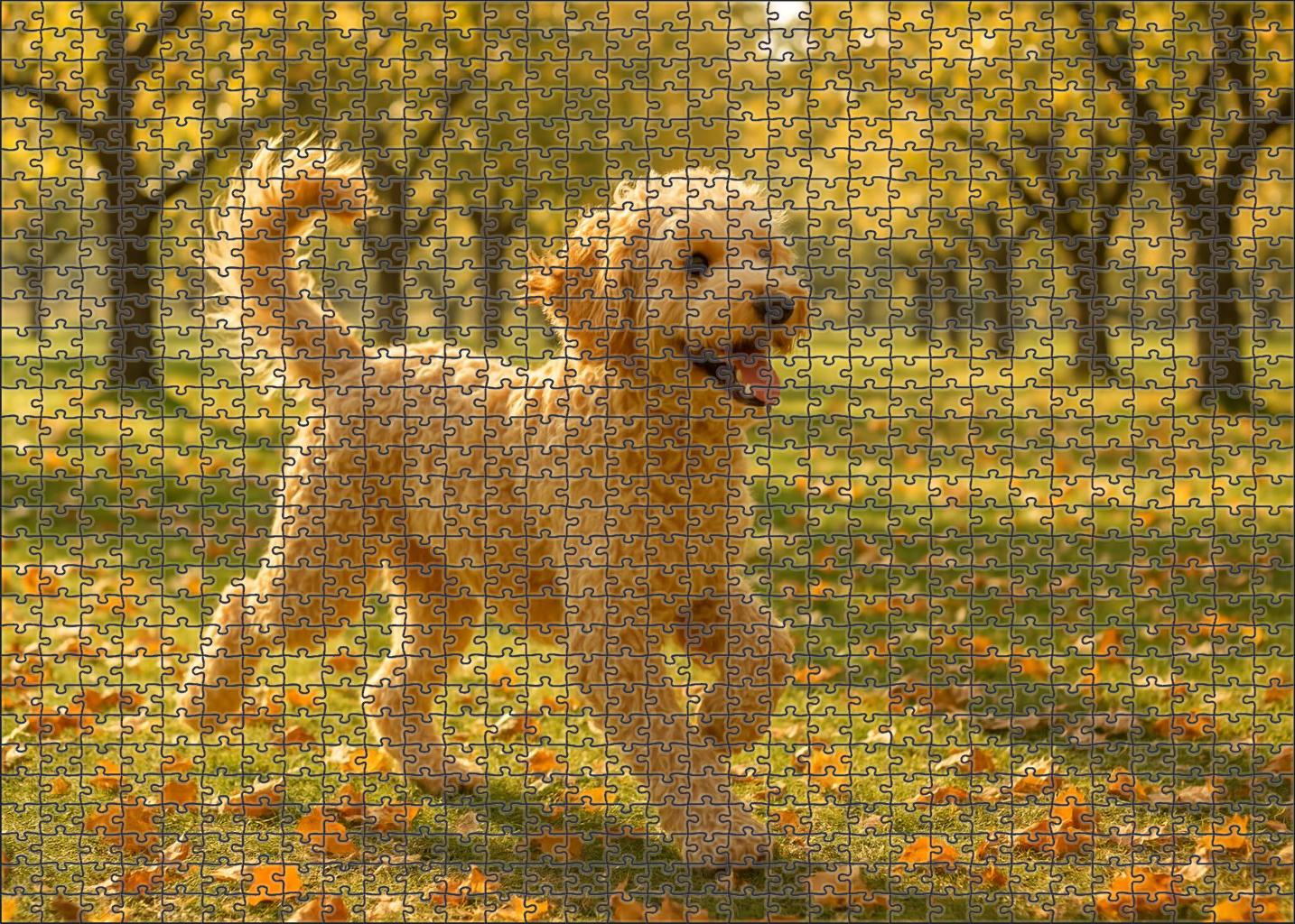 Golden Swirl Puzzle For Kids