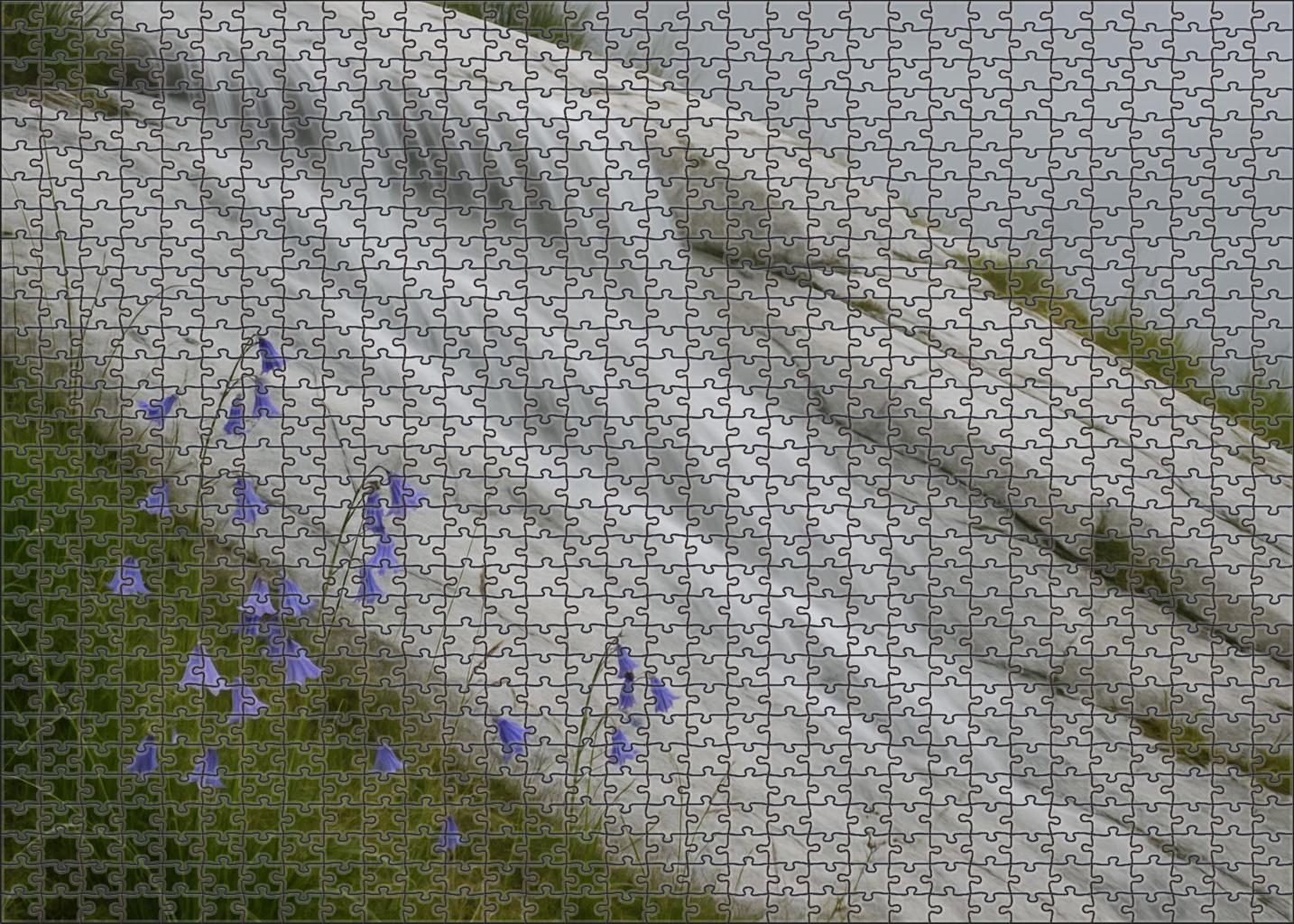 Ivory Lace Spill Puzzle For Adults