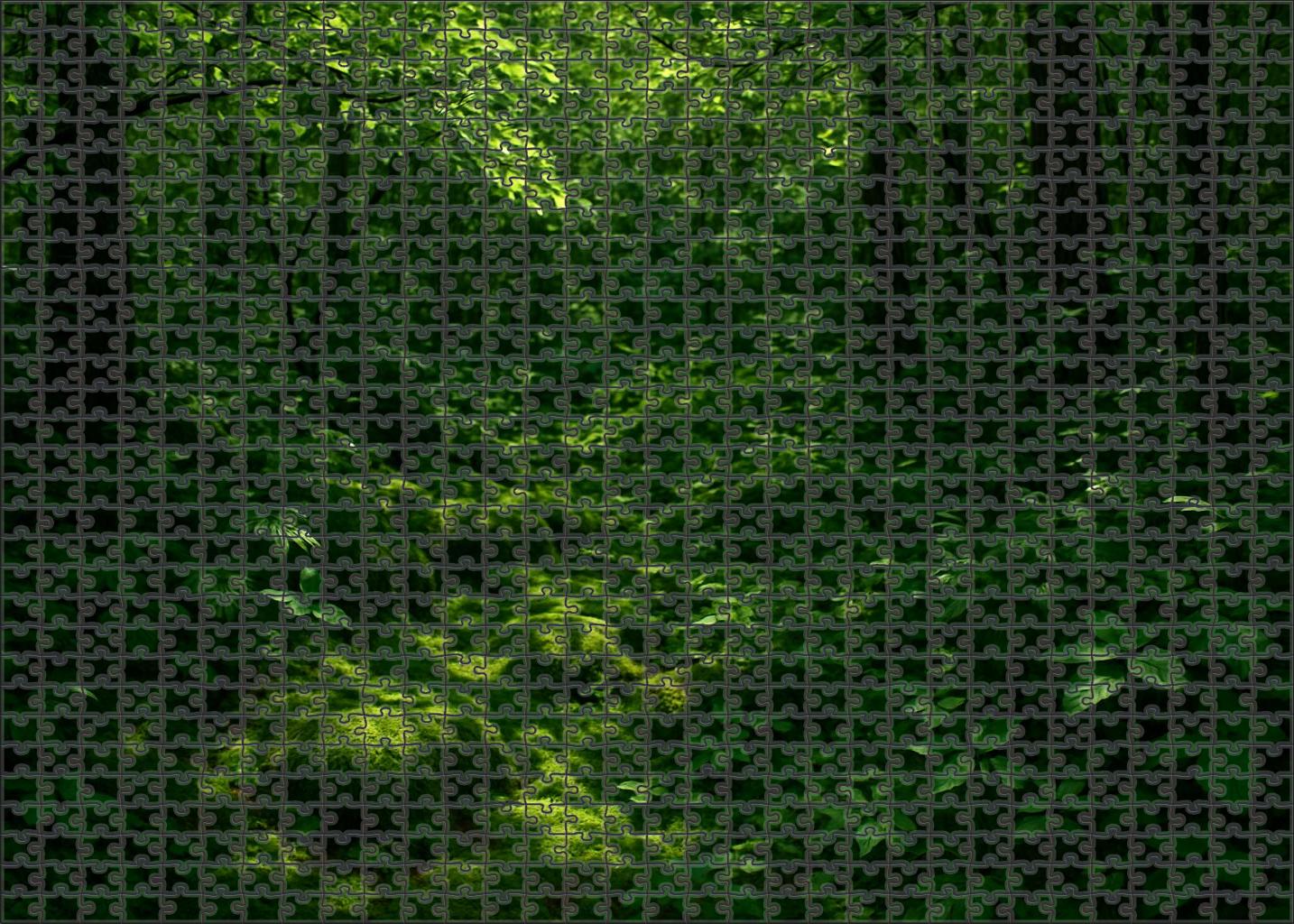 Emerald Lattice Canopy Large Format Puzzle
