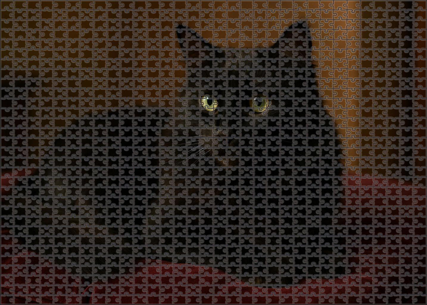 Shadow Lace Longhaired Midnight Cat With Whisper-soft Purr 20 Piece Puzzle