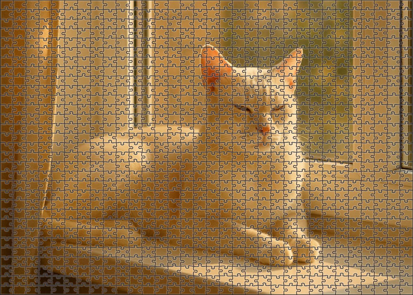 Ivory Whisper Creamy White Shortcoat With Gentle Soul Unique Puzzle Design