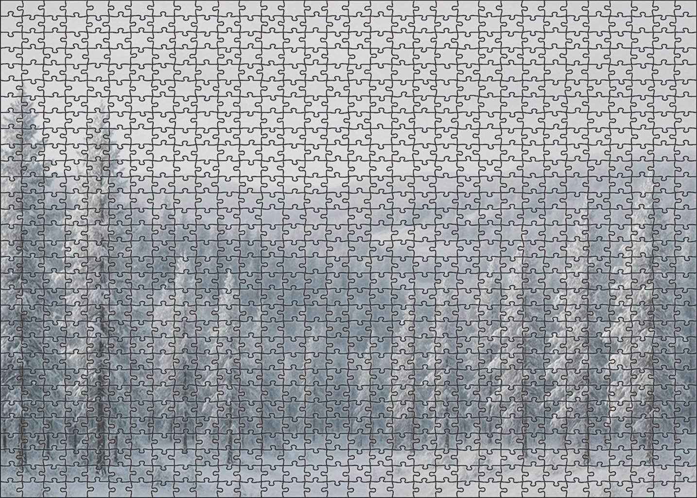 Winter Frosted Pine Vista 100 Piece Puzzle