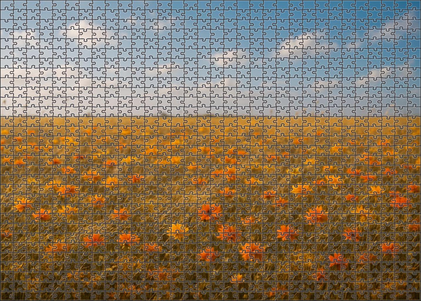 Golden Meadow Wildflower Quilt 200 Piece Puzzle