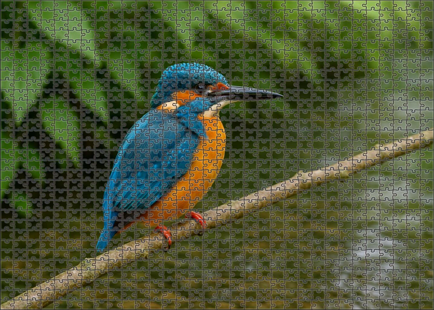 Azure Kingfisher Jewel Of The Rippling Streams Challenging Puzzles