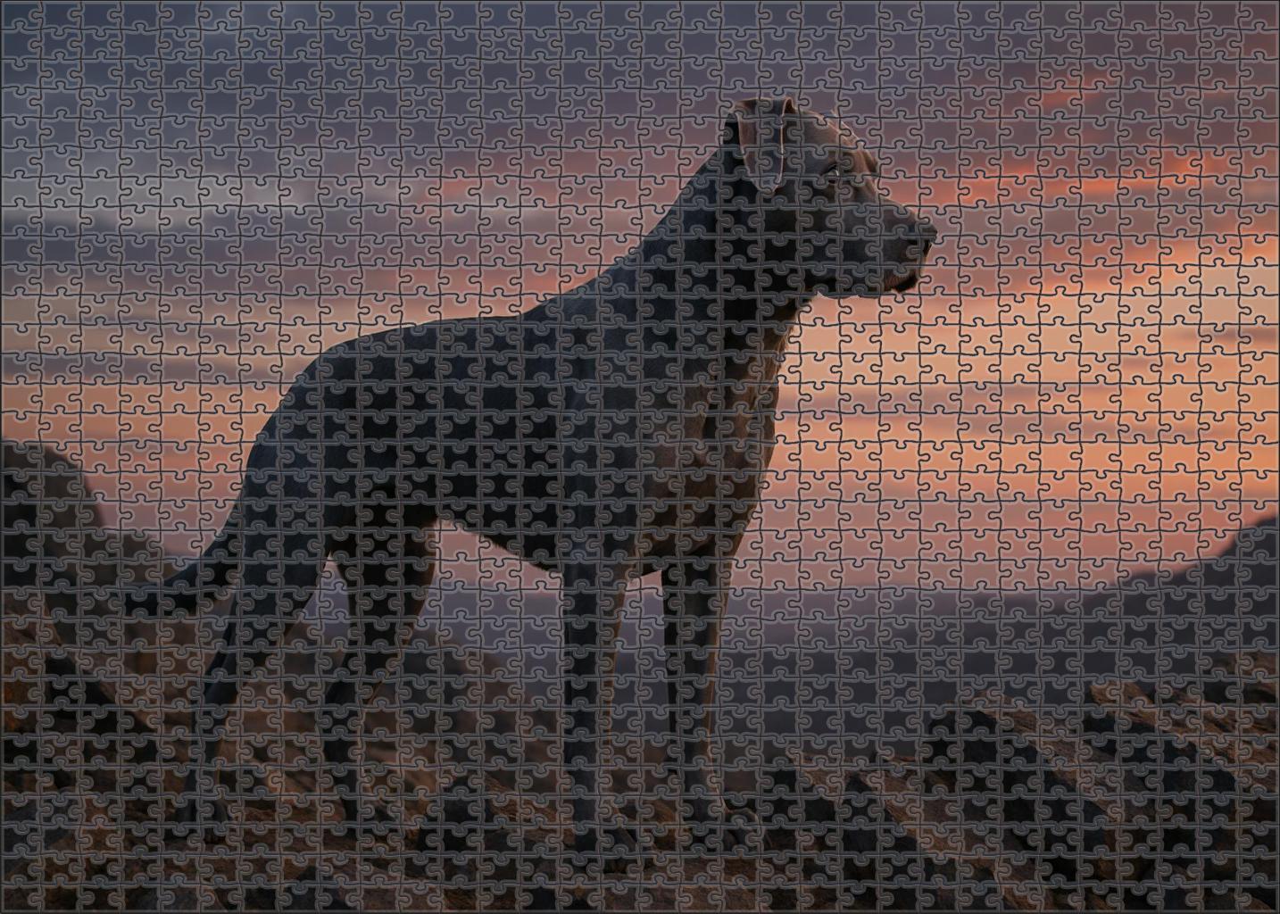 Graphite Streak Medium-built Slate Gray Working Dog With Keen Focus Custom Jigsaw Puzzle
