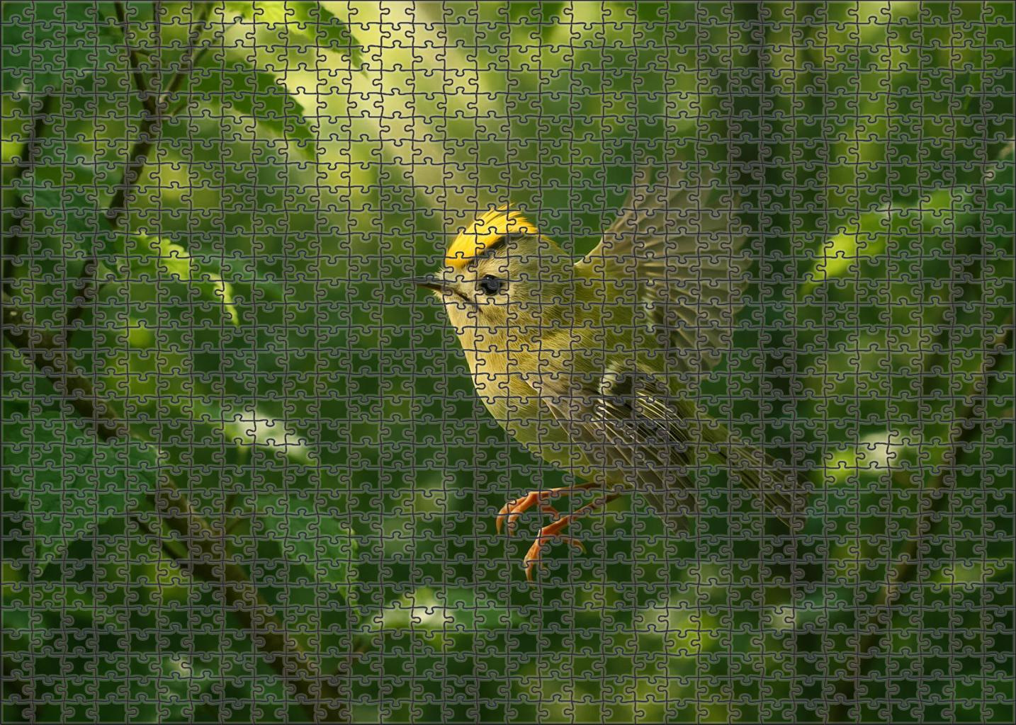 Golden-crested Warbler A Flicker Of Sunlight Unique Puzzle Design