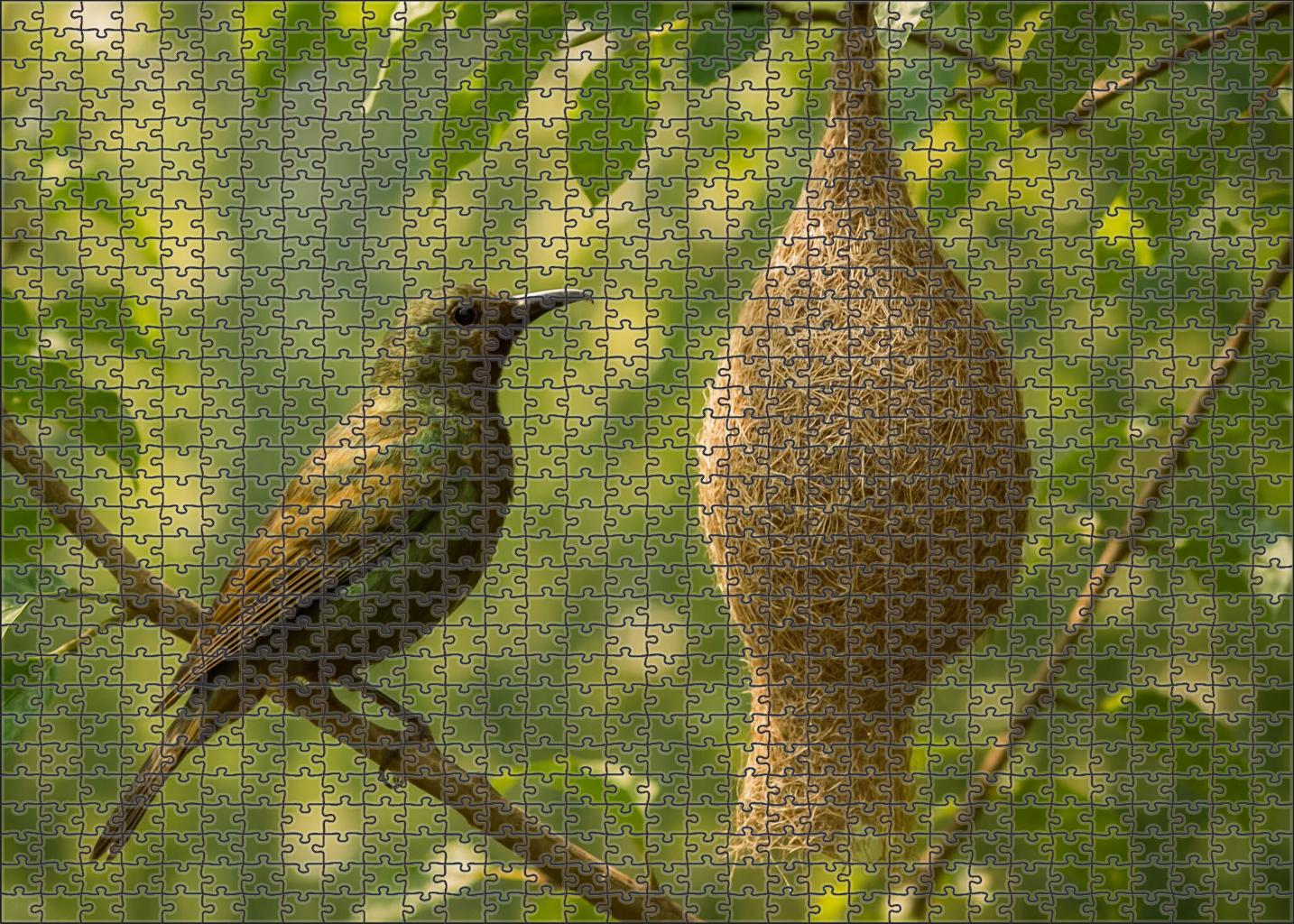 Bronzeleaf Weaver Vibrantly Colored Bird With Elaborate Nesting Rituals Custom Jigsaw Puzzle