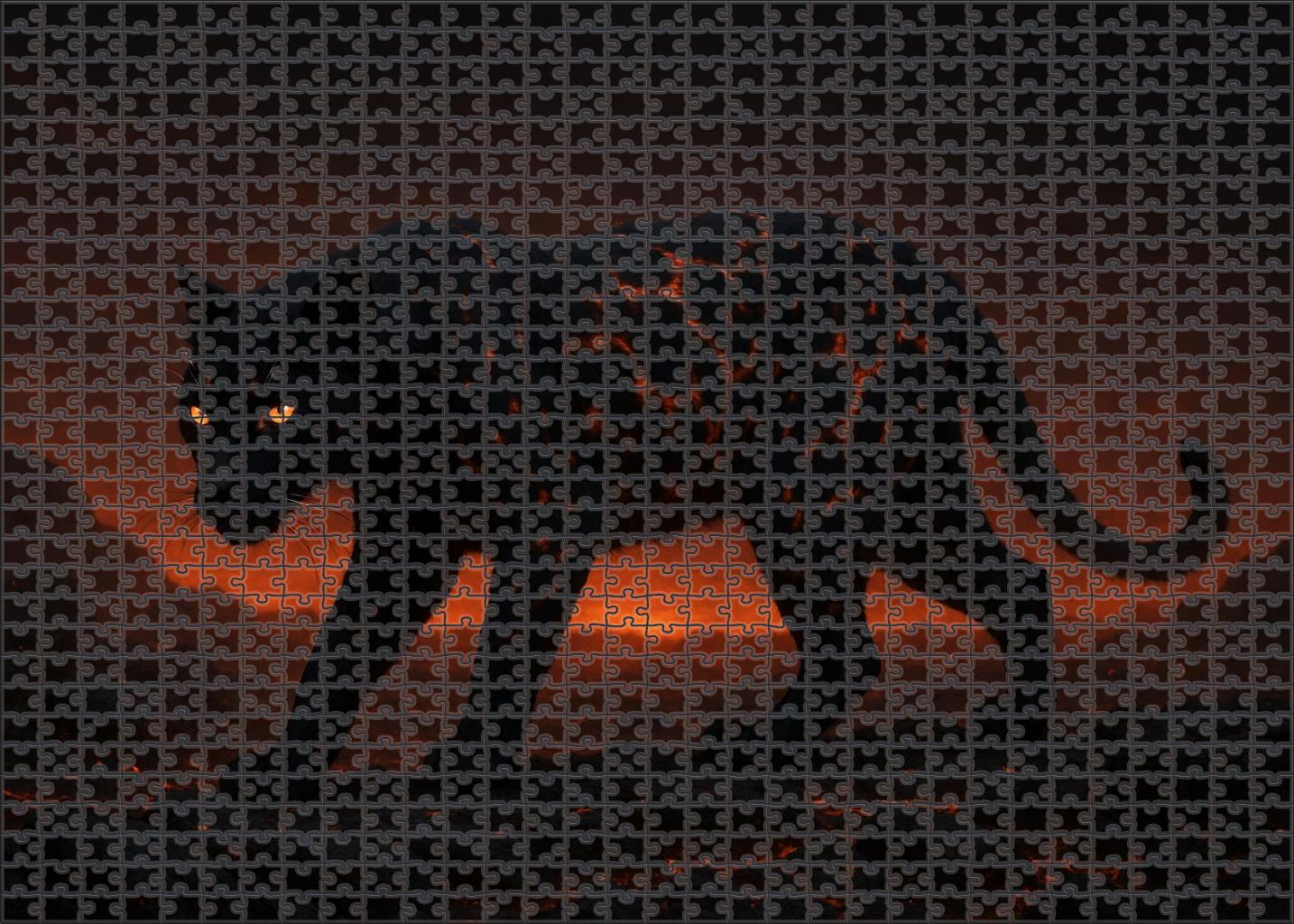 Gilded Ember Lynx 50 Piece Puzzle