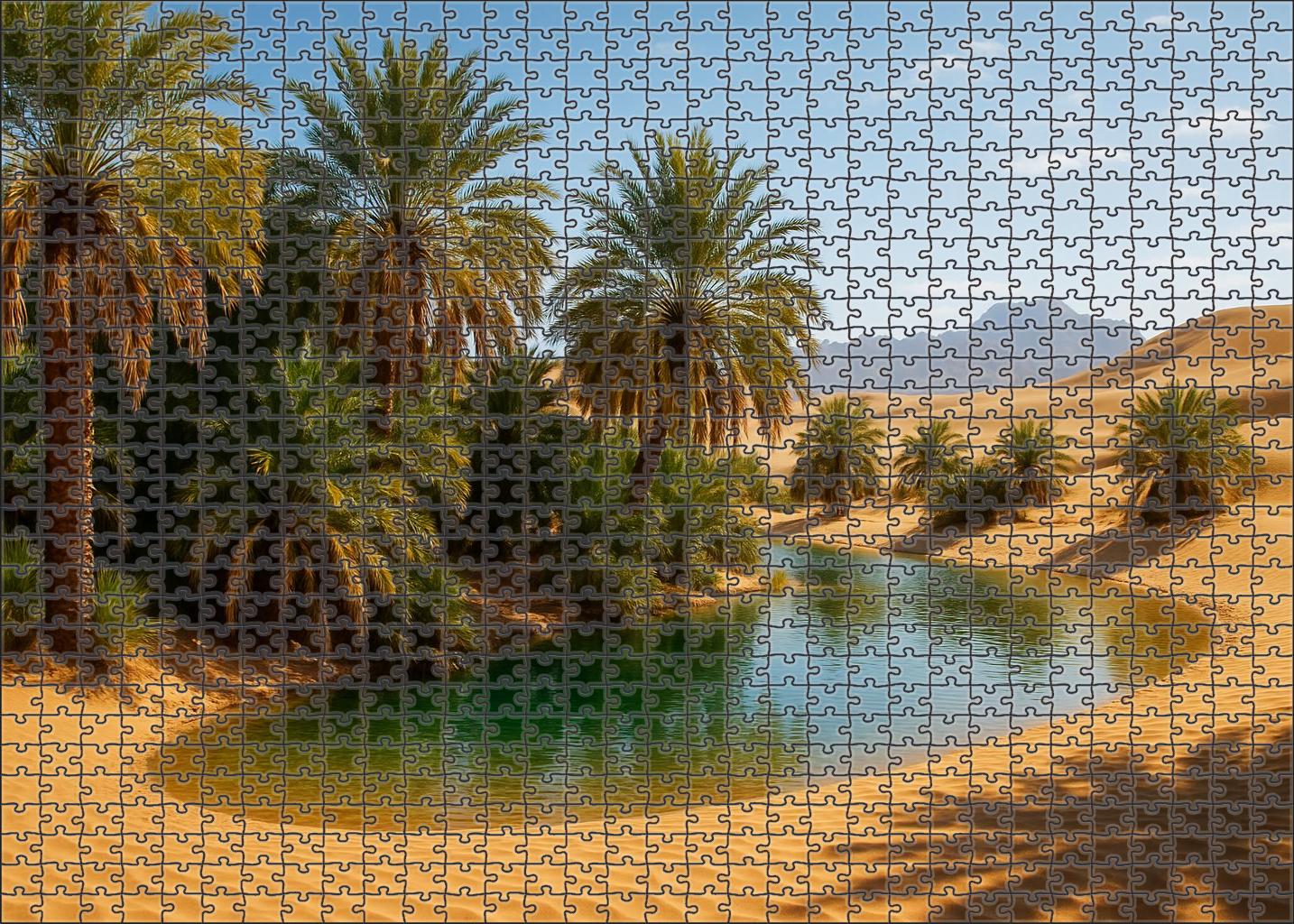 Cascading Desert Oasis Puzzle Collection