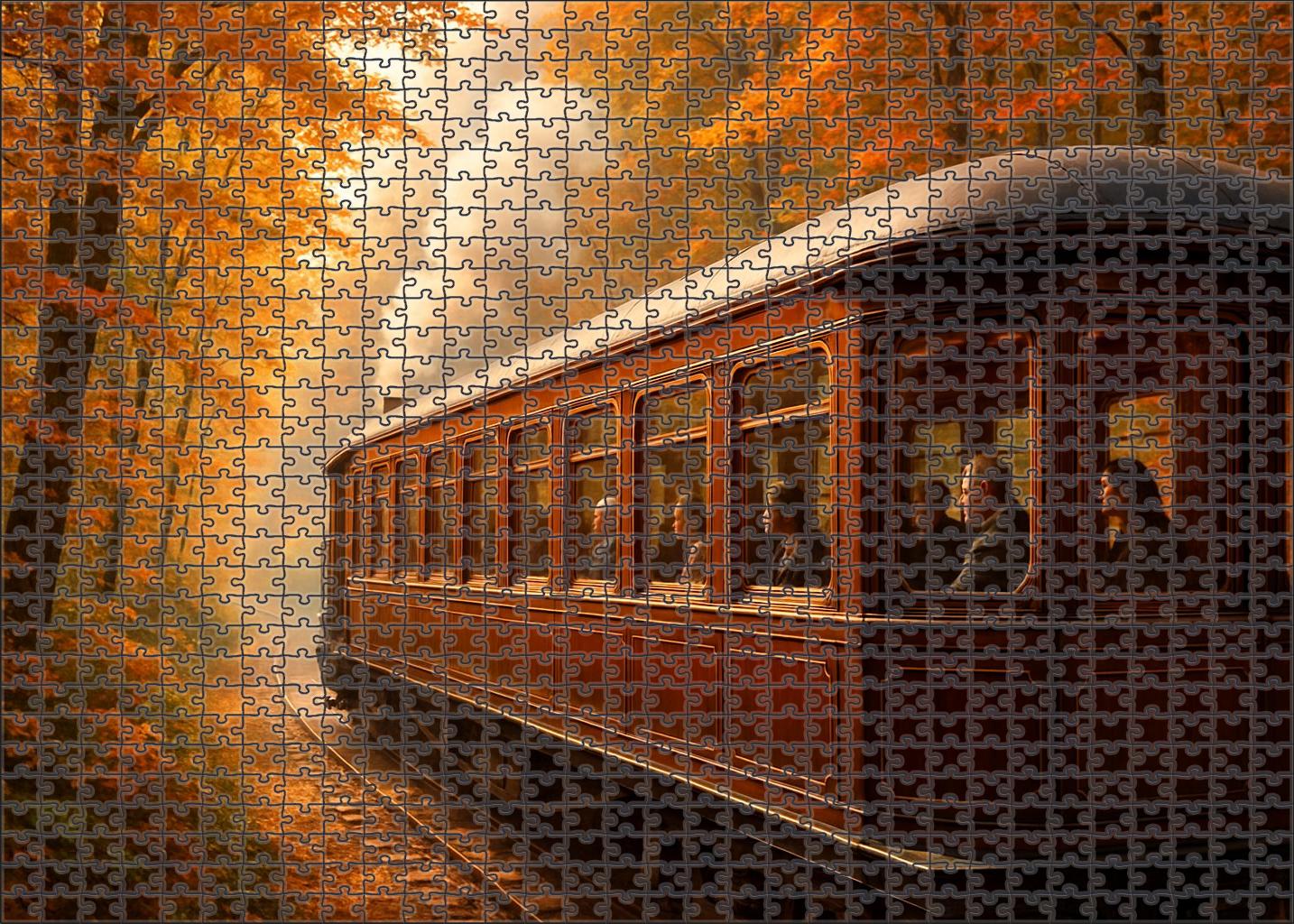 Luxury Steam-powered Scenic Railcar Puzzle Collection