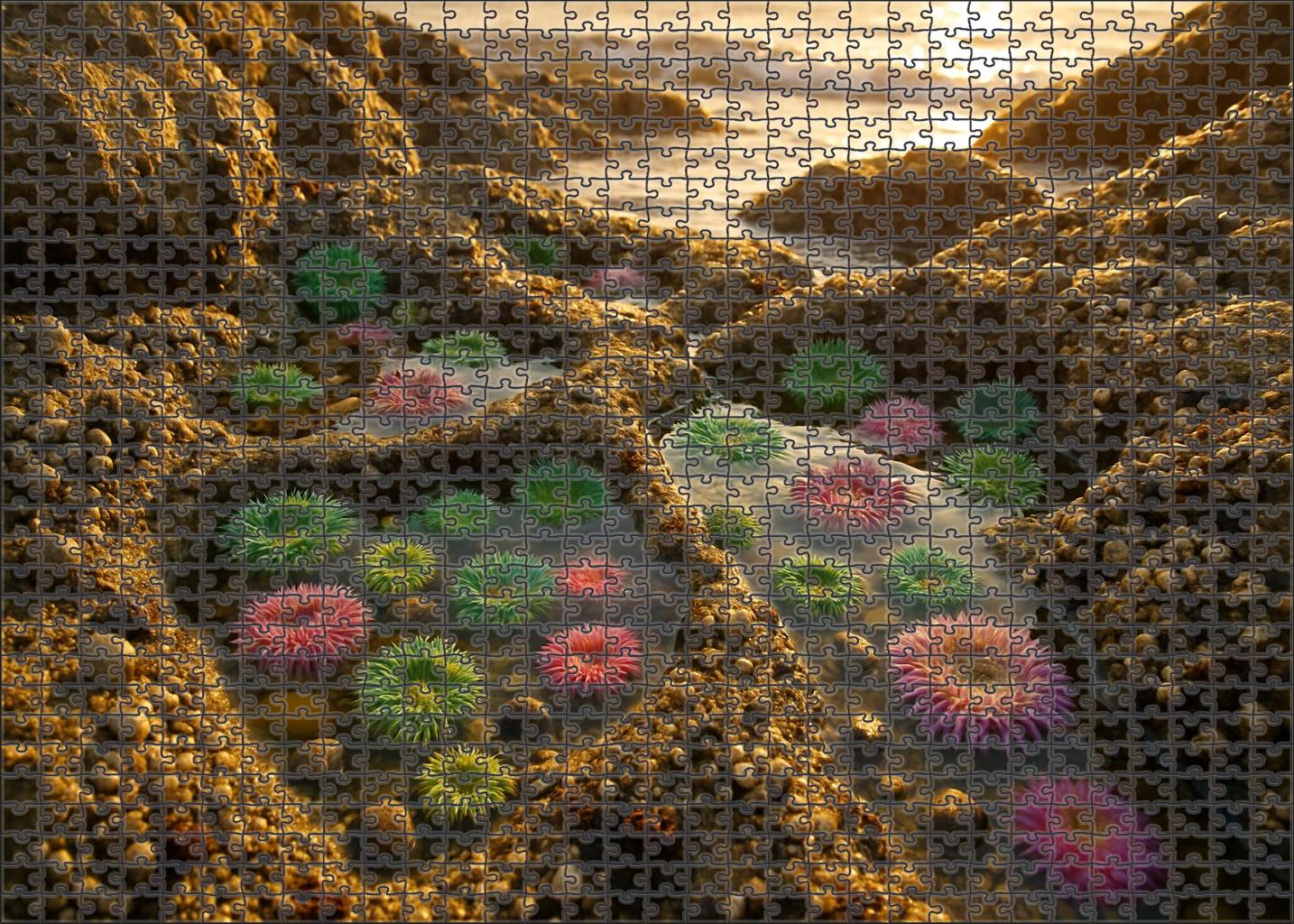 Golden Coastal Tide Pools 500 Piece Puzzle