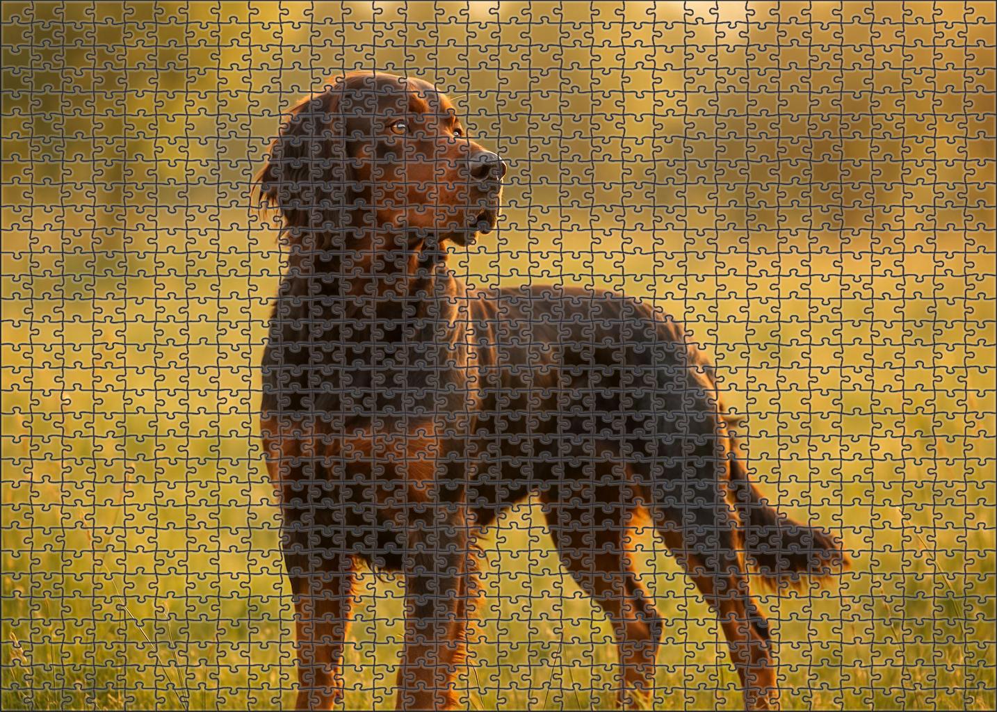 Bronze Tapestry Large Format Puzzle
