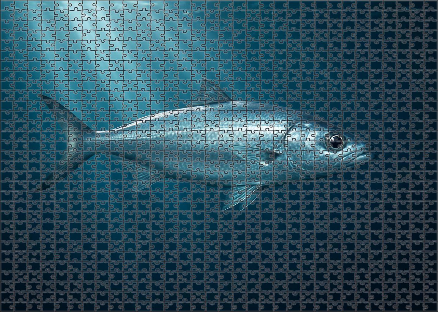 Silverfin Houndfish Agile Midwater Predator Challenging Puzzles
