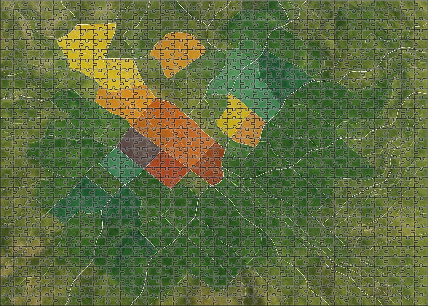 Multi-layered River Basin Elevation And Land Use Map Challenging Puzzles