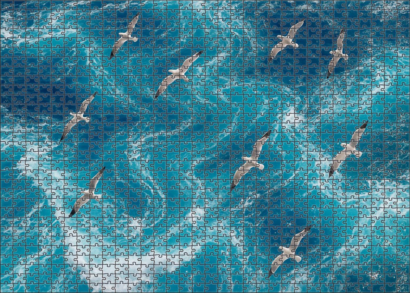 Sapphire Upwelling Crest 300 Piece Puzzle