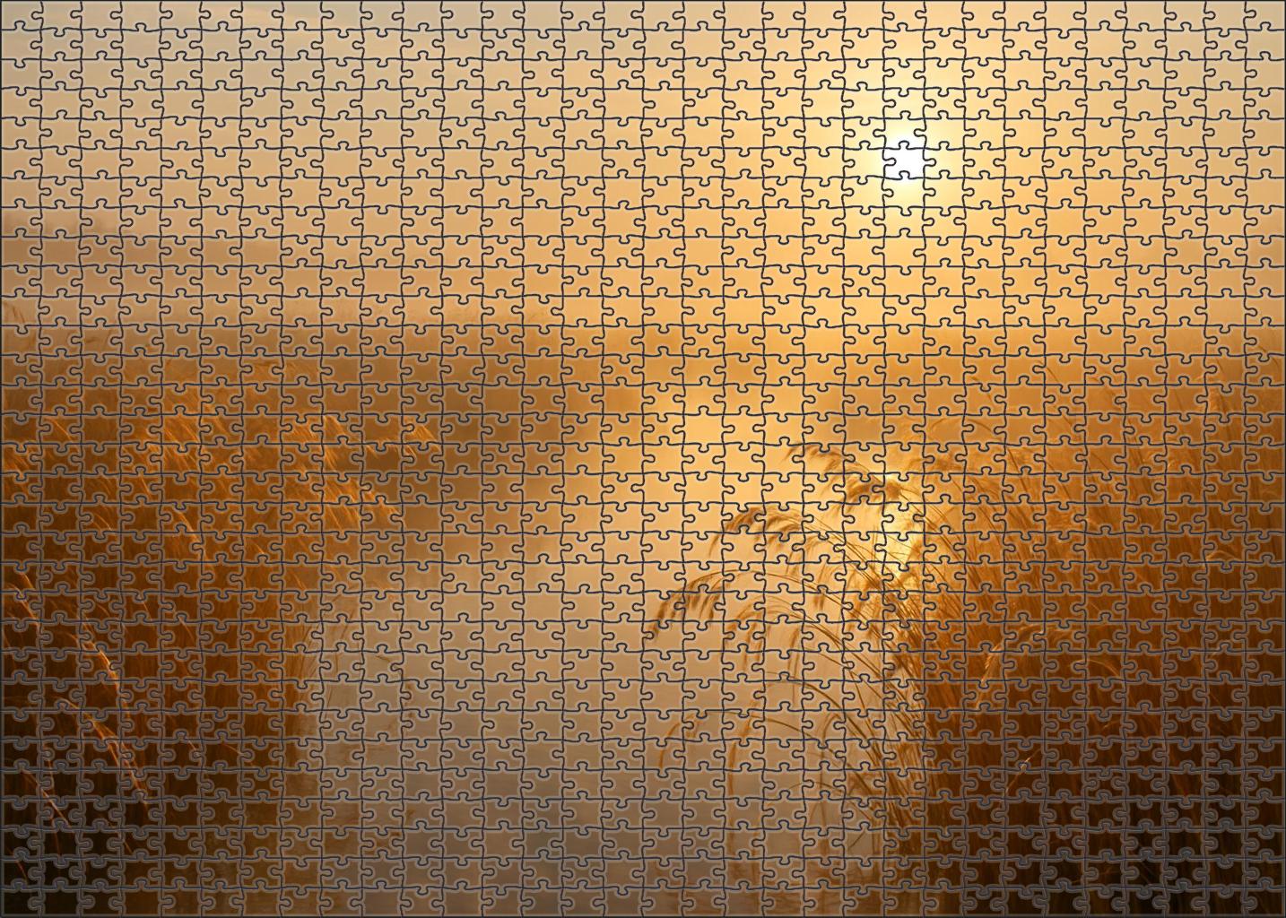 Golden Reed Marshland Large Format Puzzle