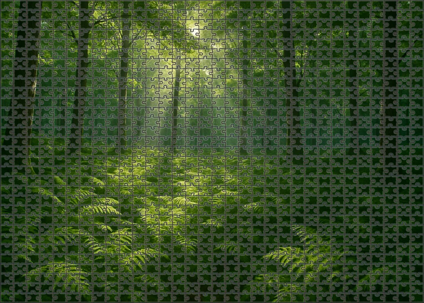 Dappled Fern Grove Unique Puzzle Design