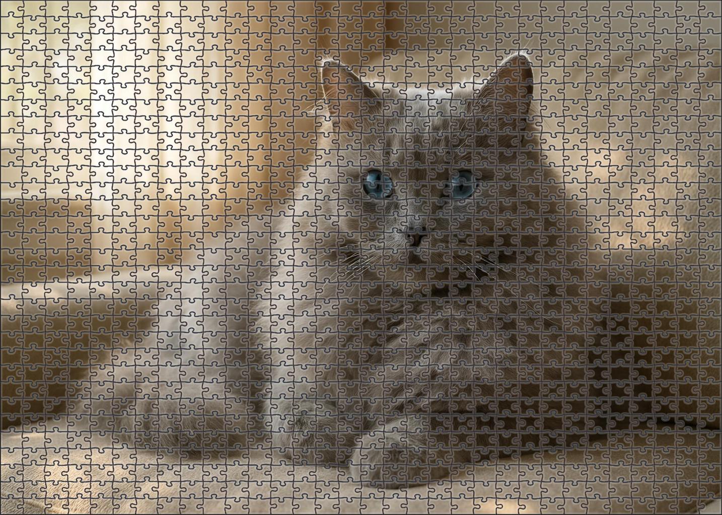 Pearl Mist Gentle Blue-gray Longhair With Soft Gaze 20 Piece Puzzle