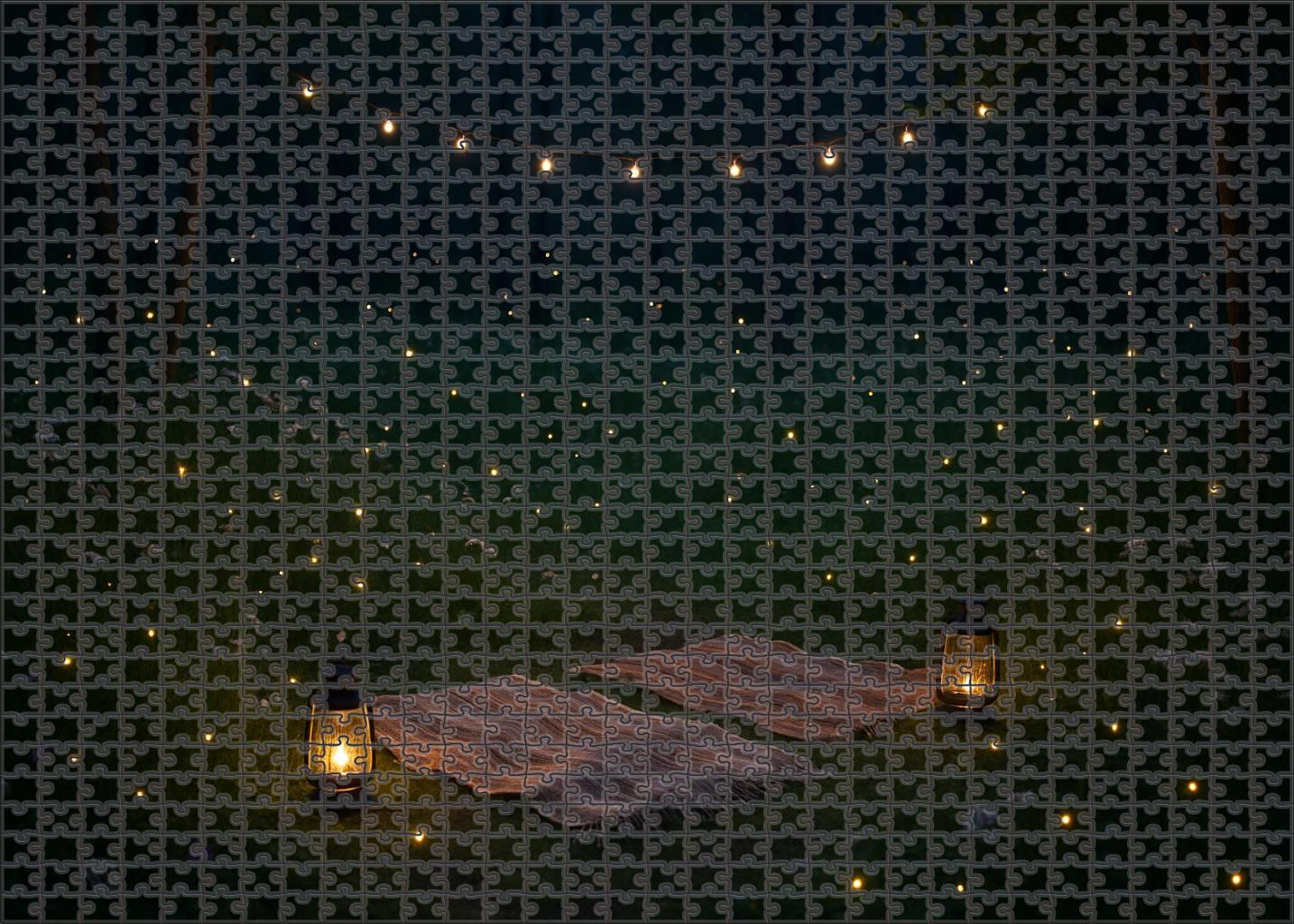 Midsummer Night Fireflies Puzzle Fun