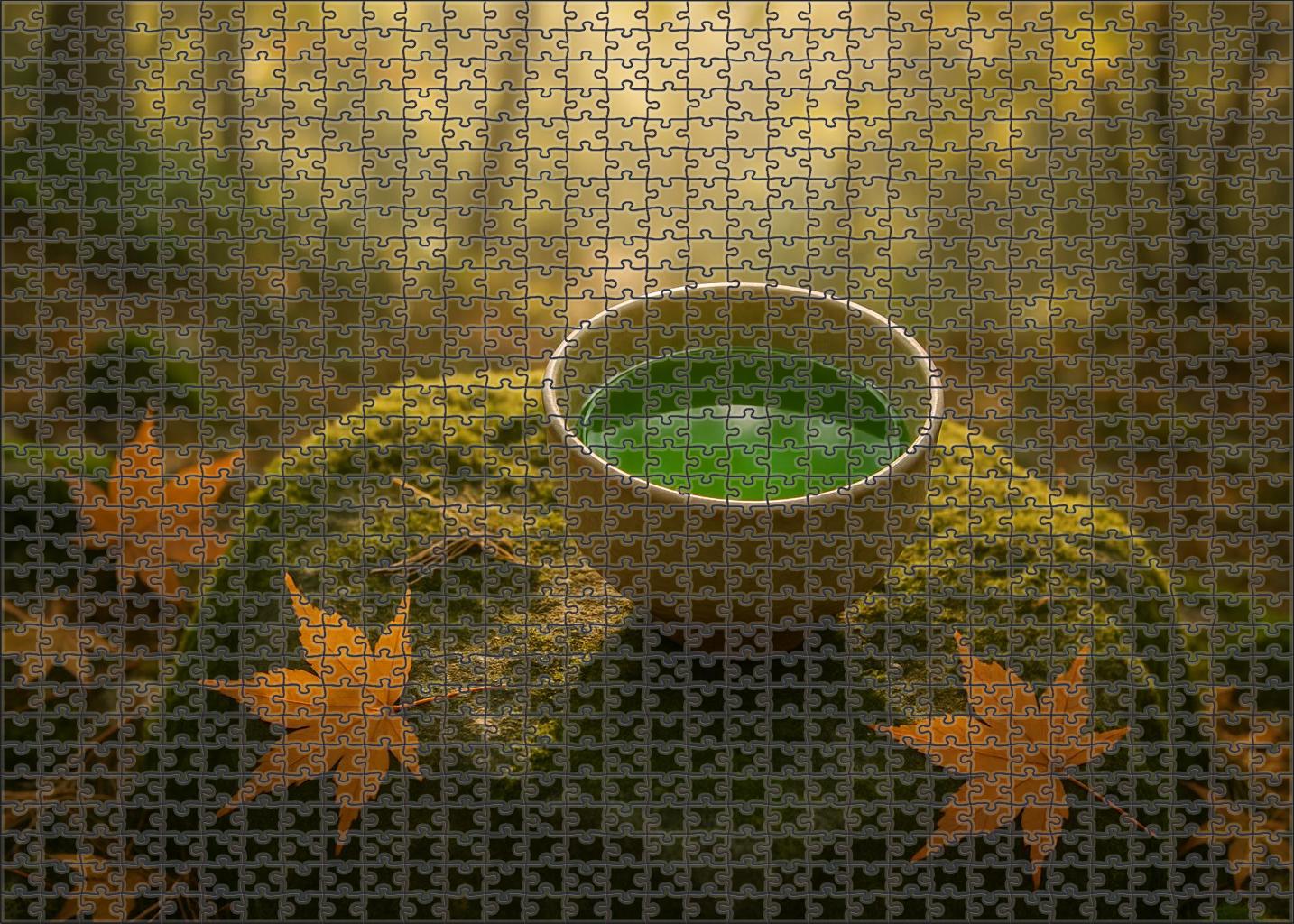 Moss & Maple Earthy Green Tea Blend With Sweet Maple And Fresh Pine Tips 50 Piece Puzzle