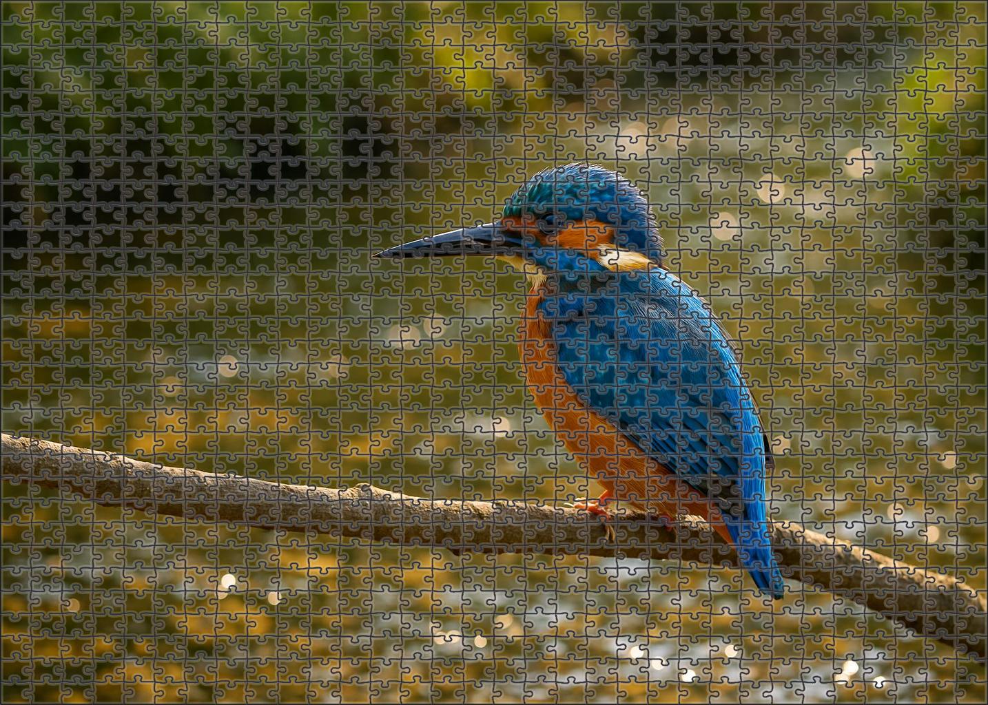 Azure Kingfisher Jewel Of The Waterways Puzzle Fun