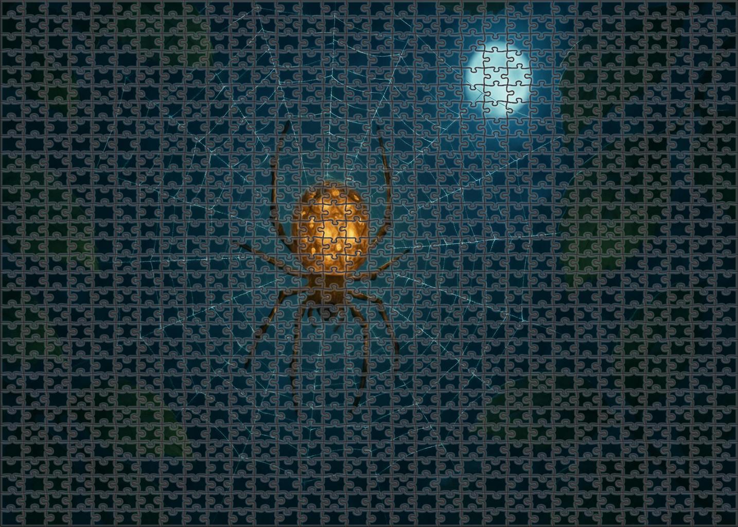 Celestial Orb Weaver Intricately Patterned Nocturnal Spider With Luminescent Silk 100 Piece Puzzle