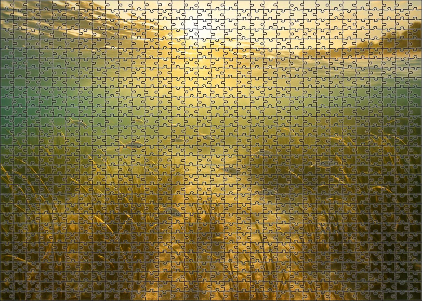 Golden Dusk Shallows Puzzle Challenge