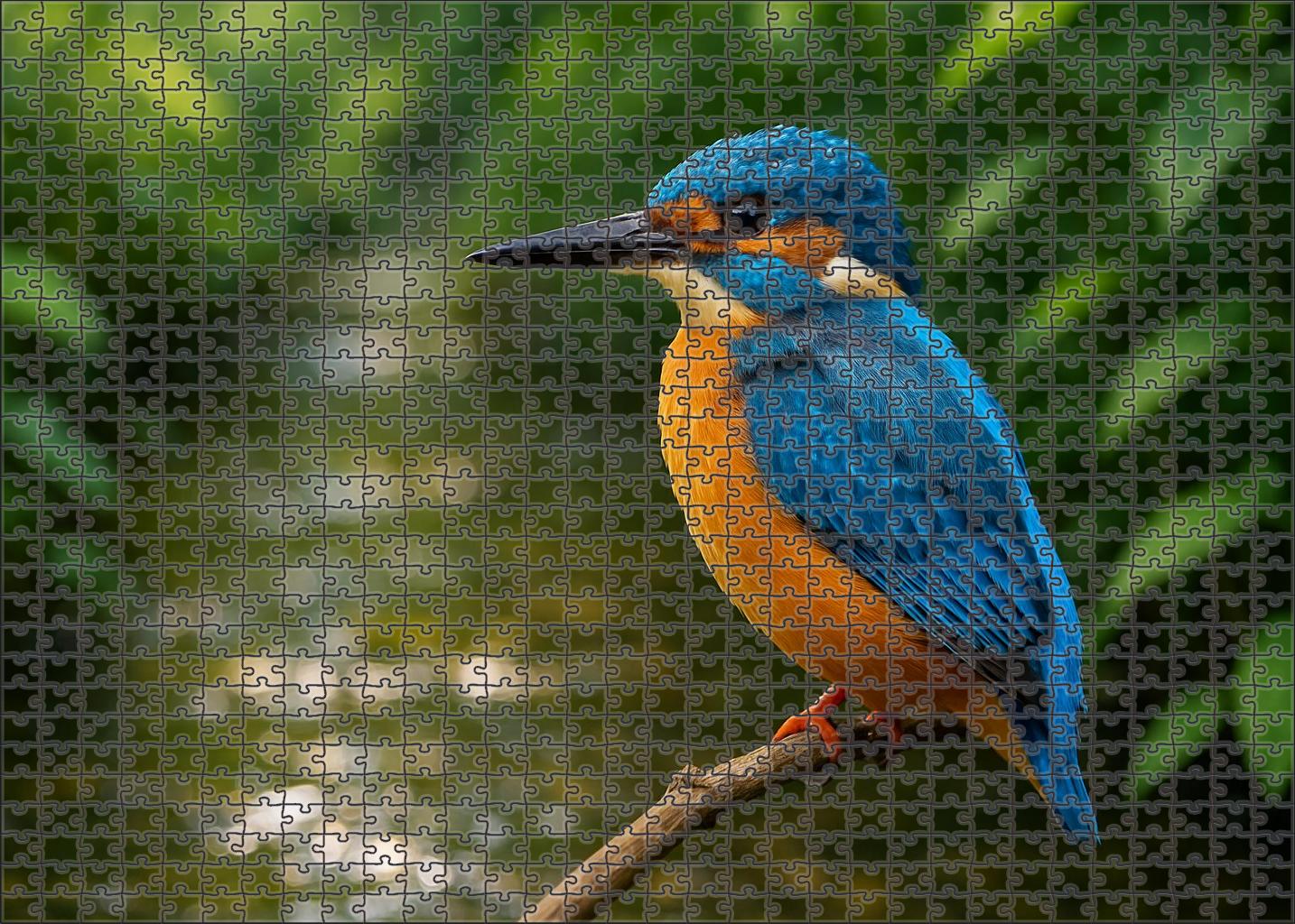 Azure Kingfisher Jewel Of The Streamside Large Format Puzzle