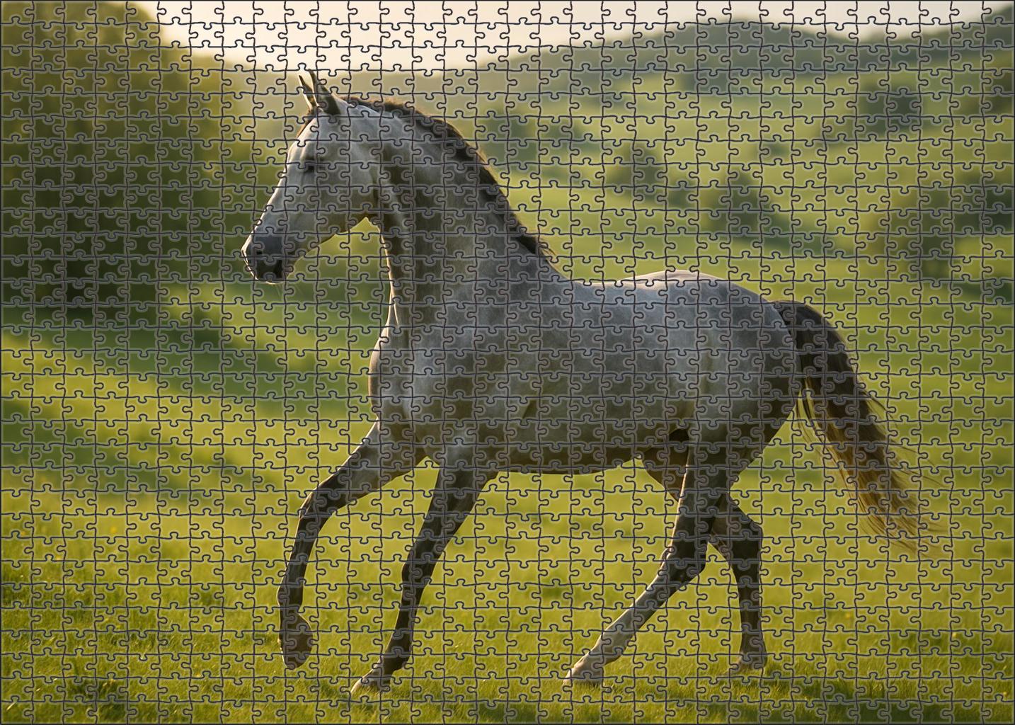 Silver Moon Gazelle Graceful Gray Mare With Effortless Canter Puzzle For Adults