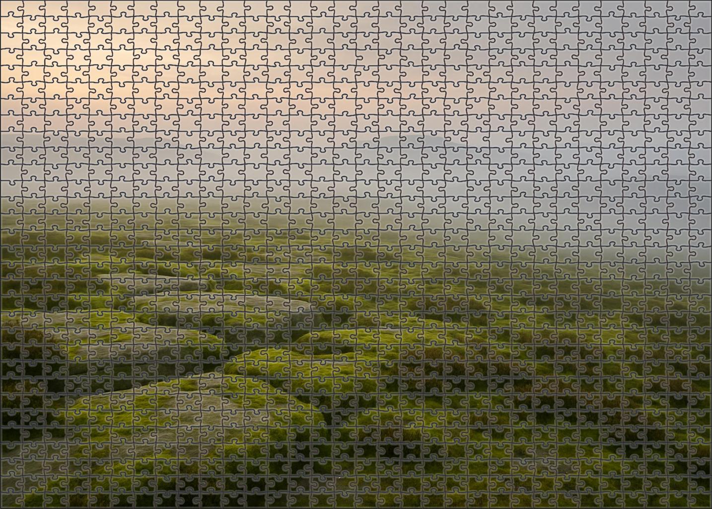 Mossveil Plateau 20 Piece Puzzle