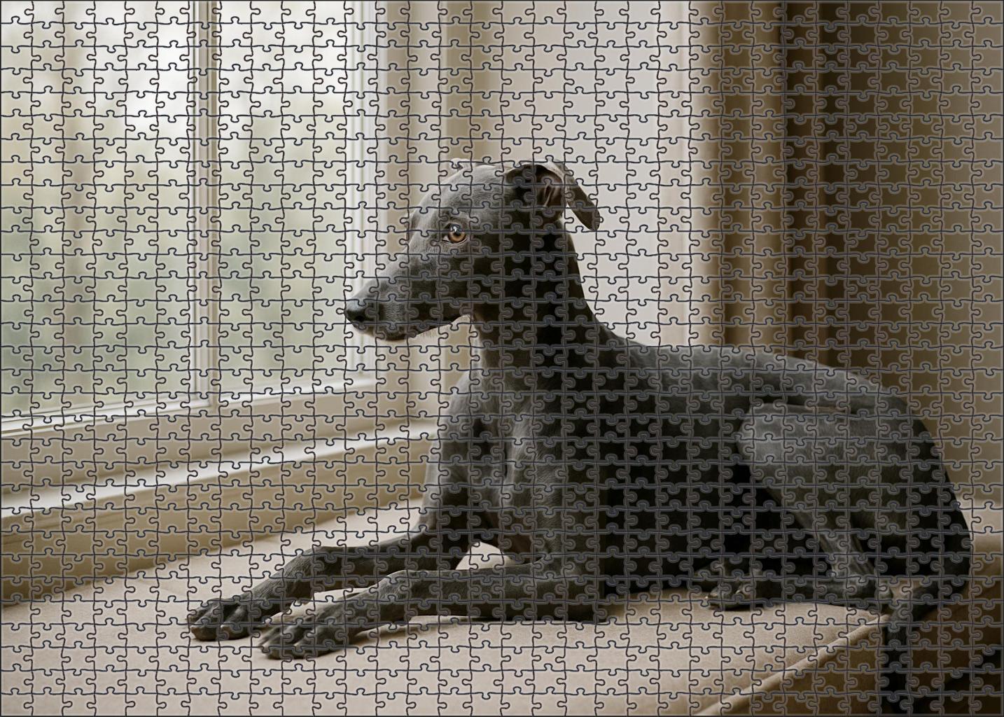 Slate Blue Puzzle Challenge