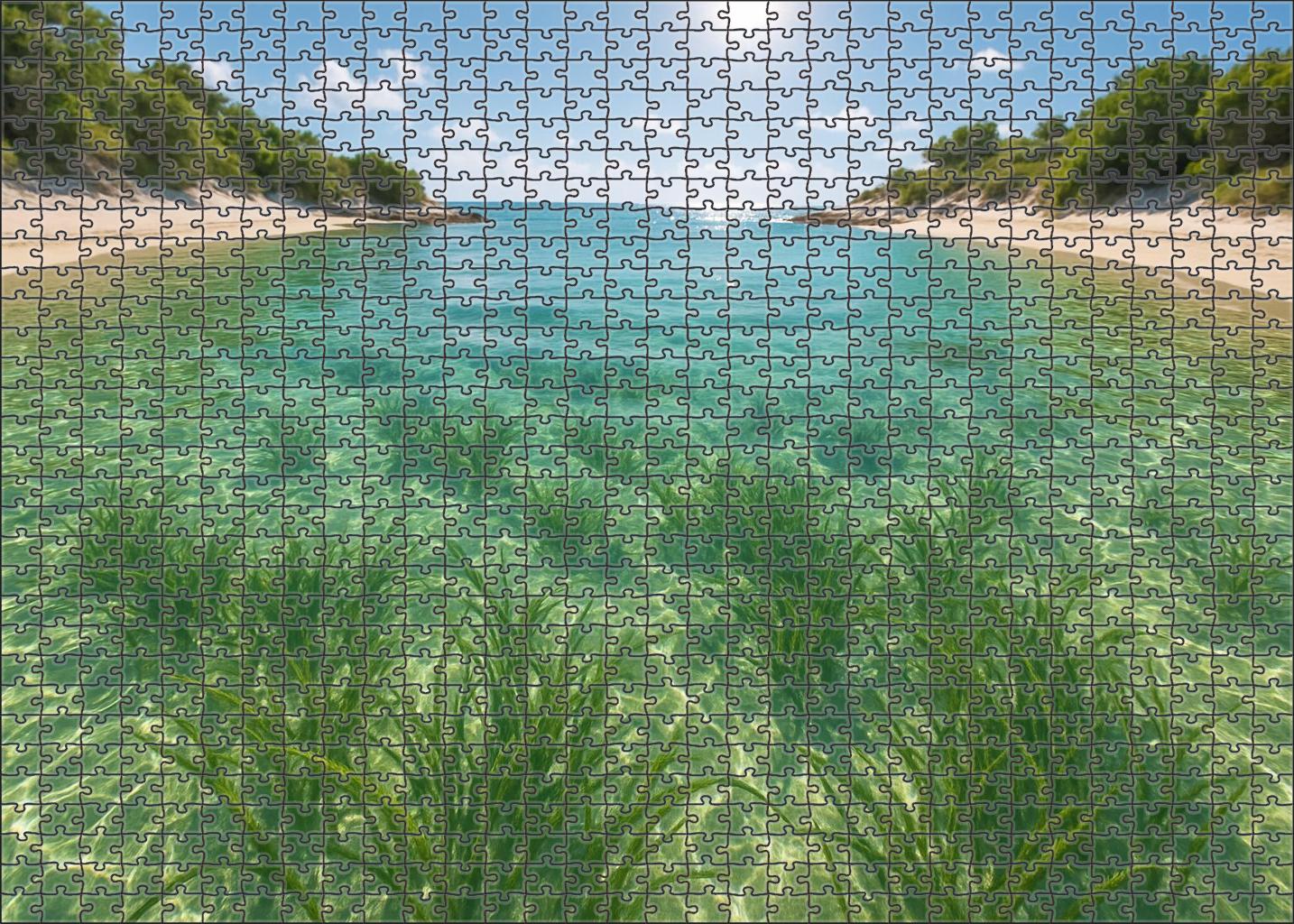 Seagrass Bay Refuge Puzzle Challenge