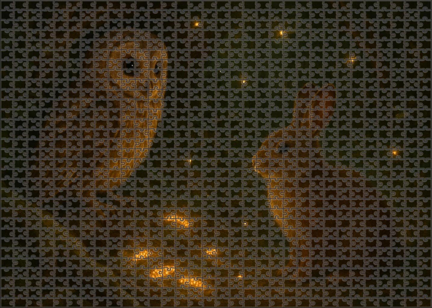 Glowworm Symphony In The Forest Hollow Puzzle Fun