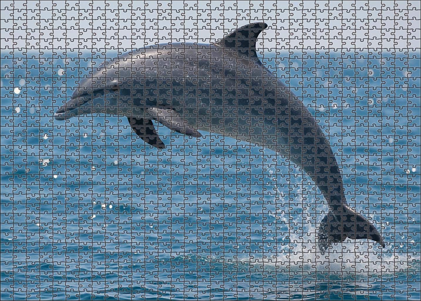 Silver-flecked Dolphin Agile Marine Mammal With Speckled Pattern Mini Puzzle